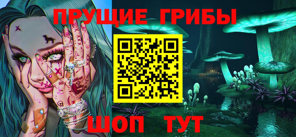 Малгобек  Псилоцибиновые грибы MAGIC MUSHROOMS  купить наркоту  Вход с VPN 
