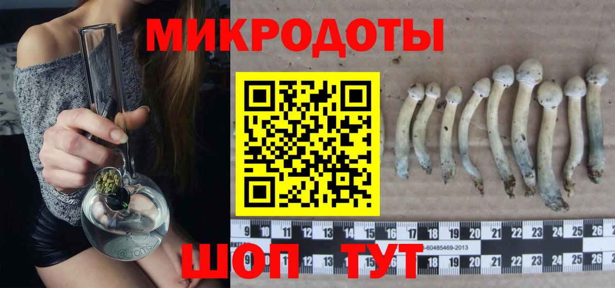 Галлюциногенные грибы мухоморы Малгобек